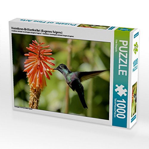 CALVENDO Puzzle Violettkron-Brilliantkolibri (Eugenes fulgens) 1000 Teile Puzzle quer | Lege-Größe cm Foto-Puzzle für glückliche Stunden von CALVENDO