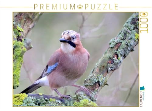 CALVENDO Puzzle Vögel aus Wald und Garten - Der Eichelhäher 1000 Teile Lege-Größe 64 x 48 cm Foto-Puzzle Bild von Arno Klatt CALVENDO Puzzle Vögel aus Wald und Garten - Der Eichelhäher 1000 Teile Lege-Größe 64 x 48 cm Foto-Puzzle Bild von Arno Klatt von CALVENDO