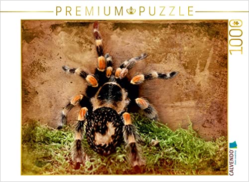 CALVENDO Puzzle Vogelspinne 1000 Teile Puzzle quer | 1000 Teile Lege-Größe 64 x 48 cm Foto-Puzzle für glückliche Stunden CALVENDO Puzzle Vogelspinne 1000 Teile Puzzle quer | 1000 Teile Lege-Größe 64 x 48 cm Foto-Puzzle für glückliche Stunden von CALVENDO