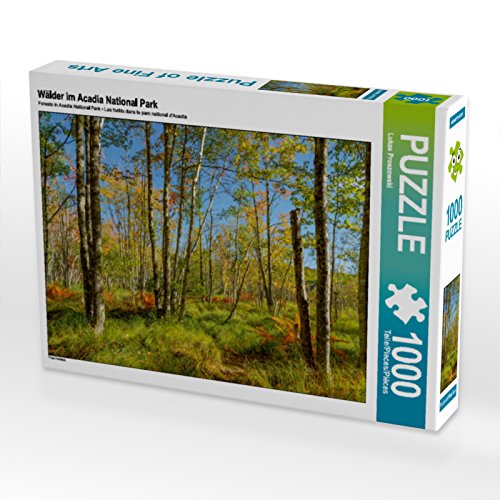 CALVENDO Puzzle Wälder im Acadia National Park 1000 Teile Puzzle quer | 1000 Teile Lege-Größe 64 x 48 cm Foto-Puzzle für glückliche Stunden CALVENDO Puzzle Wälder im Acadia National Park 1000 Teile Puzzle quer | 1000 Teile Lege-Größe 64 x 48 cm Foto-Puzzle für glückliche Stunden von CALVENDO