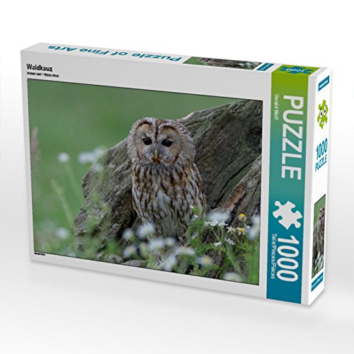 CALVENDO Puzzle Waldkauz 1000 Teile Puzzle quer | Lege-Größe cm Foto-Puzzle für glückliche Stunden von CALVENDO