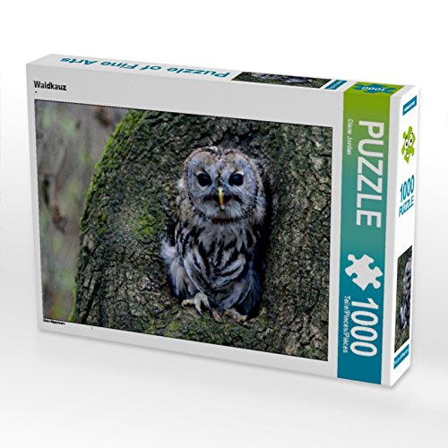CALVENDO Puzzle Waldkauz 1000 Teile Puzzle quer | 1000 Teile Lege-Größe 64 x 48 cm Foto-Puzzle für glückliche Stunden CALVENDO Puzzle Waldkauz 1000 Teile Puzzle quer | 1000 Teile Lege-Größe 64 x 48 cm Foto-Puzzle für glückliche Stunden von CALVENDO