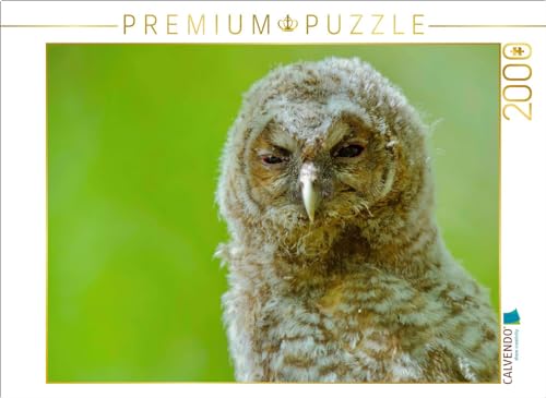 CALVENDO Puzzle Waldkauz-Ästling | 2000 Teile Lege-Größe 90 x 67 cm Foto-Puzzle für glückliche Stunden CALVENDO Puzzle Waldkauz-Ästling | 2000 Teile Lege-Größe 90 x 67 cm Foto-Puzzle für glückliche Stunden von CALVENDO