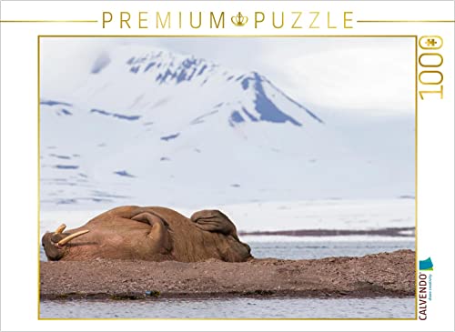 CALVENDO Puzzle Walross 1000 Teile Puzzle quer | 1000 Teile Lege-Größe 64 x 48 cm Foto-Puzzle für glückliche Stunden CALVENDO Puzzle Walross 1000 Teile Puzzle quer | 1000 Teile Lege-Größe 64 x 48 cm Foto-Puzzle für glückliche Stunden von CALVENDO