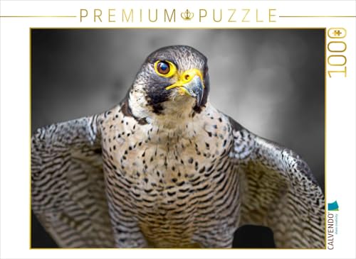 CALVENDO Puzzle Wanderfalke 1000 Teile Lege-Größe 64 x 48 cm Foto-Puzzle Bild von Astrid Ziemer CALVENDO Puzzle Wanderfalke 1000 Teile Lege-Größe 64 x 48 cm Foto-Puzzle Bild von Astrid Ziemer von CALVENDO