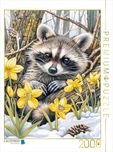 CALVENDO Puzzle Waschbär zwischen den Bäumen im Frühling. | 2000 Teile Lege-Größe 67 x 90 cm Foto-Puzzle für glückliche Stunden CALVENDO Puzzle Waschbär zwischen den Bäumen im Frühling. | 2000 Teile Lege-Größe 67 x 90 cm Foto-Puzzle für glückliche Stunden von CALVENDO