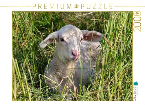 CALVENDO Puzzle Weißes Lämmchen | 2000 Teile Lege-Größe 90 x 67 cm Foto-Puzzle für glückliche Stunden von CALVENDO