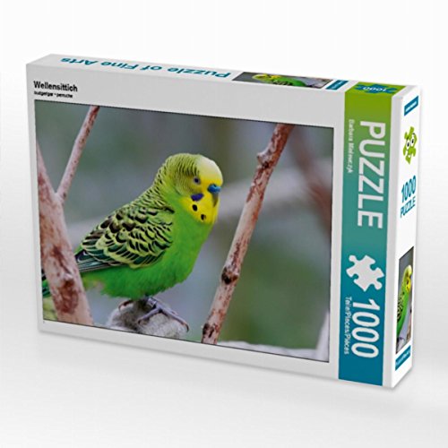 CALVENDO Puzzle Wellensittich 1000 Teile Lege-Größe 64 x 48 cm Foto-Puzzle Bild von Barbara Mielewczyk CALVENDO Puzzle Wellensittich 1000 Teile Lege-Größe 64 x 48 cm Foto-Puzzle Bild von Barbara Mielewczyk von CALVENDO