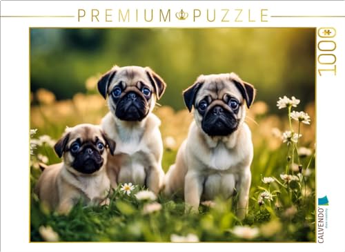 CALVENDO Puzzle Welpen auf Einer Wiese | 1000 Teile Lege-Größe 64 x 48 cm Foto-Puzzle für glückliche Stunden von CALVENDO