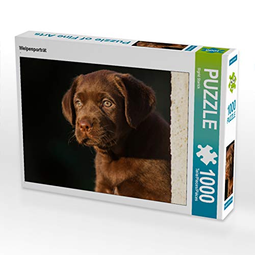 CALVENDO Puzzle Welpenporträt 1000 Teile Puzzle quer | 1000 Teile Lege-Größe 64 x 48 cm Foto-Puzzle für glückliche Stunden von CALVENDO