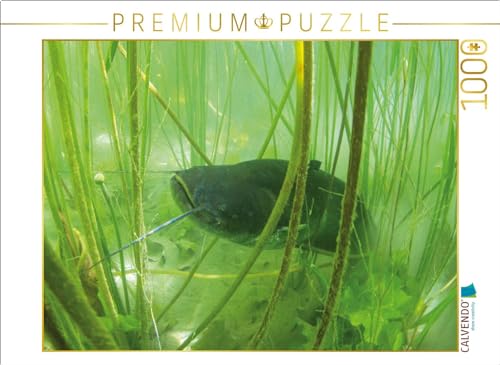 CALVENDO Puzzle Wels im Lac de Paladru, Auvergne-Rhône-Alpes | 1000 Teile Lege-Größe 64 x 48 cm Foto-Puzzle für glückliche Stunden von CALVENDO