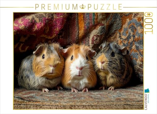 CALVENDO Puzzle Wenn Schnuten verzaubern - DREI Meerschweinchen | 1000 Teile Lege-Größe 64 x 48 cm Foto-Puzzle für glückliche Stunden CALVENDO Puzzle Wenn Schnuten verzaubern - DREI Meerschweinchen | 1000 Teile Lege-Größe 64 x 48 cm Foto-Puzzle für glückliche Stunden von CALVENDO