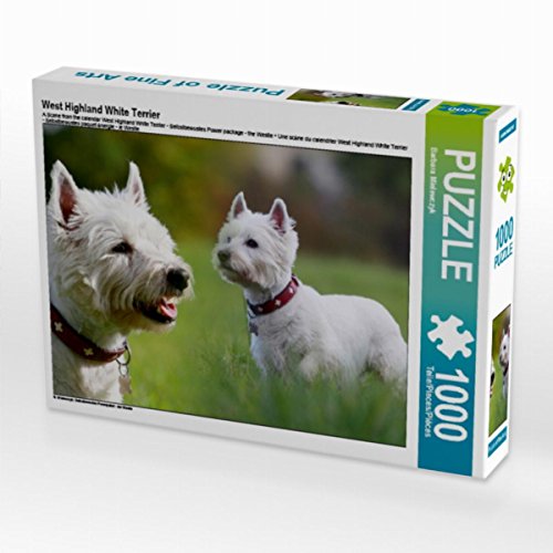 CALVENDO Puzzle West Highland White Terrier 1000 Teile Lege-Größe 64 x 48 cm Foto-Puzzle Bild von Barbara Mielewczyk von CALVENDO