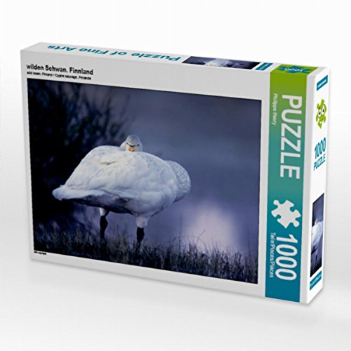 CALVENDO Puzzle Wilden Schwan. Finnland 1000 Teile Puzzle quer | Lege-Größe cm Foto-Puzzle für glückliche Stunden von CALVENDO