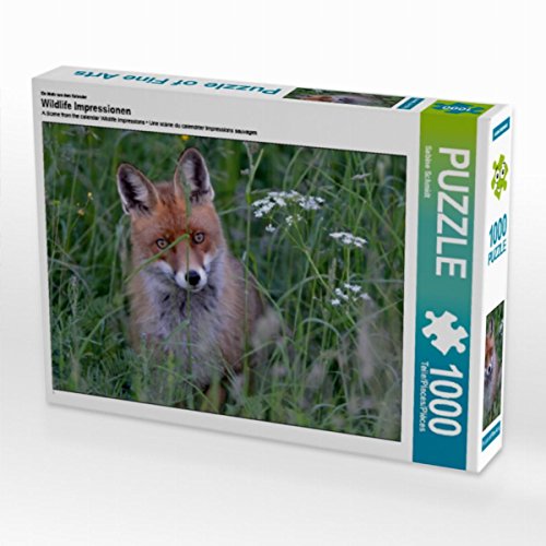 CALVENDO Puzzle Wildlife Impressionen 1000 Teile Lege-Größe 64 x 48 cm Foto-Puzzle Bild von Sabine Schmidt CALVENDO Puzzle Wildlife Impressionen 1000 Teile Lege-Größe 64 x 48 cm Foto-Puzzle Bild von Sabine Schmidt von CALVENDO