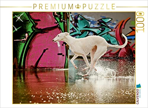 CALVENDO Puzzle Windhunderennen 1000 Teile Puzzle quer | 1000 Teile Lege-Größe 64 x 48 cm Foto-Puzzle für glückliche Stunden CALVENDO Puzzle Windhunderennen 1000 Teile Puzzle quer | 1000 Teile Lege-Größe 64 x 48 cm Foto-Puzzle für glückliche Stunden von CALVENDO