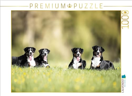 CALVENDO Puzzle Wir sind EIN Team | Lege-Größe cm Foto-Puzzle für glückliche Stunden von CALVENDO