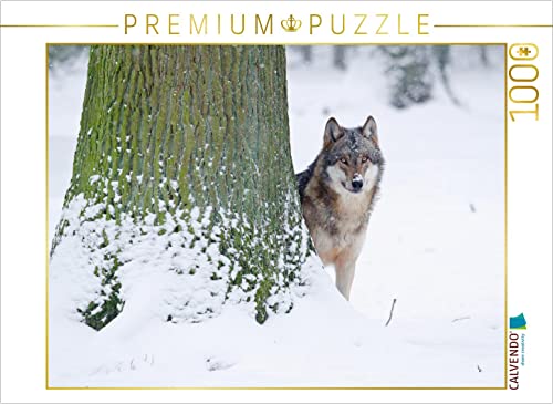 CALVENDO Puzzle Wolf im Winter 1000 Teile Puzzle quer | 1000 Teile Lege-Größe 64 x 48 cm Foto-Puzzle für glückliche Stunden CALVENDO Puzzle Wolf im Winter 1000 Teile Puzzle quer | 1000 Teile Lege-Größe 64 x 48 cm Foto-Puzzle für glückliche Stunden von CALVENDO