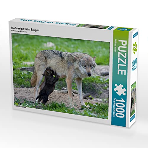 CALVENDO Puzzle Wolfswelpe beim Saugen 1000 Teile Puzzle quer | 1000 Teile Lege-Größe 64 x 48 cm Foto-Puzzle für glückliche Stunden von CALVENDO