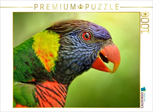 CALVENDO Puzzle Wunderschöne Papageien - Lori 1000 Teile Puzzle quer | 1000 Teile Lege-Größe 64 x 48 cm Foto-Puzzle für glückliche Stunden von CALVENDO