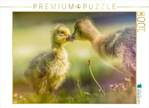 CALVENDO Puzzle Zärtliche Begegnung – EIN Moment unter Gänseküken | 1000 Teile Lege-Größe 64 x 48 cm Foto-Puzzle für glückliche Stunden CALVENDO Puzzle Zärtliche Begegnung – EIN Moment unter Gänseküken | 1000 Teile Lege-Größe 64 x 48 cm Foto-Puzzle für glückliche Stunden von CALVENDO