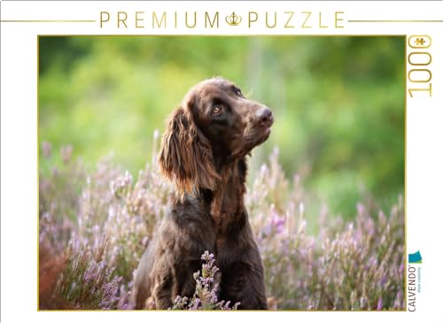 CALVENDO Puzzle Zeit mit dem Hund ist nie verlorene Zeit! | Lege-Größe cm Foto-Puzzle für glückliche Stunden von CALVENDO