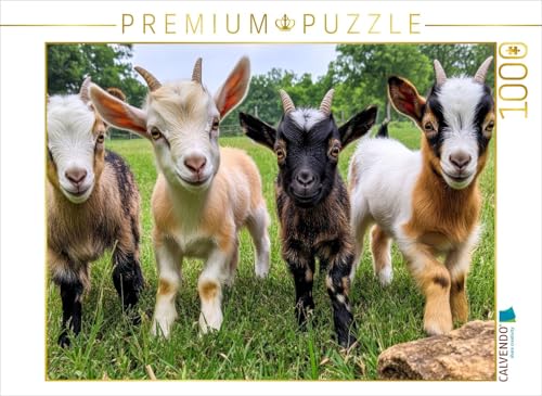 CALVENDO Puzzle Ziegen | 1000 Teile Lege-Größe 64 x 48 cm Foto-Puzzle für glückliche Stunden CALVENDO Puzzle Ziegen | 1000 Teile Lege-Größe 64 x 48 cm Foto-Puzzle für glückliche Stunden von CALVENDO
