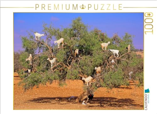 CALVENDO Puzzle Ziegen auf Argan-Baum, bei Rabat/Marokko | Lege-Größe cm Foto-Puzzle für glückliche Stunden CALVENDO Puzzle Ziegen auf Argan-Baum, bei Rabat/Marokko | Lege-Größe cm Foto-Puzzle für glückliche Stunden von CALVENDO