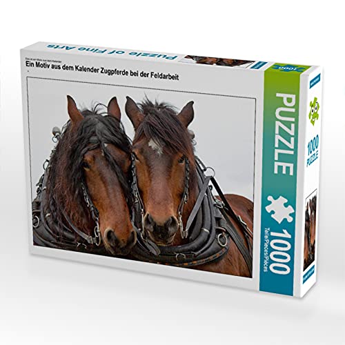 CALVENDO Puzzle Zugpferde bei der Feldarbeit 1000 Teile Lege-Größe 64 x 48 cm Foto-Puzzle Bild von Marion Sixt von CALVENDO
