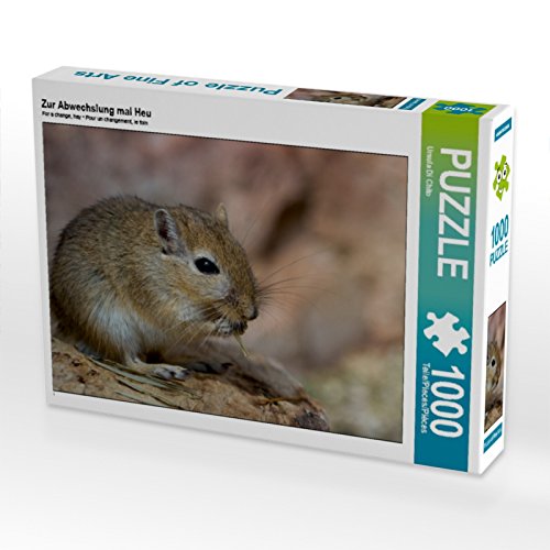 CALVENDO Puzzle Zur Abwechslung mal Heu 1000 Teile Puzzle quer | 1000 Teile Lege-Größe 64 x 48 cm Foto-Puzzle für glückliche Stunden CALVENDO Puzzle Zur Abwechslung mal Heu 1000 Teile Puzzle quer | 1000 Teile Lege-Größe 64 x 48 cm Foto-Puzzle für glückliche Stunden von CALVENDO