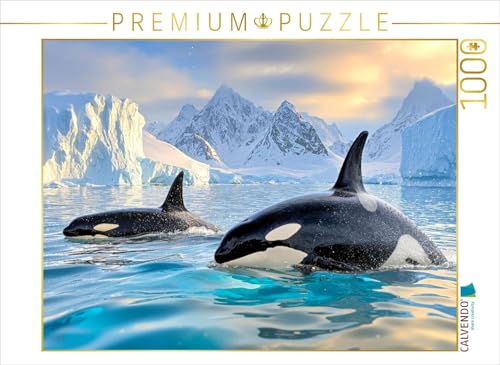 CALVENDO Puzzle Zwei, die die Welt erkunden | 1000 Teile Lege-Größe 64 x 48 cm Foto-Puzzle für glückliche Stunden von CALVENDO