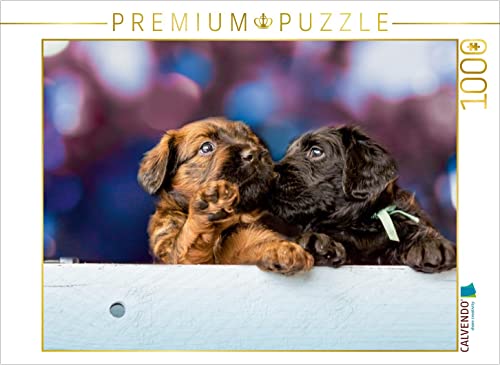 CALVENDO Puzzle Zwei Briard-Welpen 1000 Teile Puzzle quer | 1000 Teile Lege-Größe 64 x 48 cm Foto-Puzzle für glückliche Stunden CALVENDO Puzzle Zwei Briard-Welpen 1000 Teile Puzzle quer | 1000 Teile Lege-Größe 64 x 48 cm Foto-Puzzle für glückliche Stunden von CALVENDO