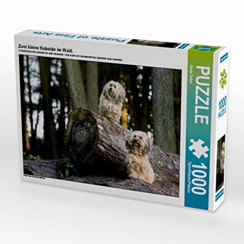 CALVENDO Puzzle Zwei kleine Kobolde im Wald. 1000 Teile Lege-Größe 64 x 48 cm Foto-Puzzle Bild von Sonja Teßen CALVENDO Puzzle Zwei kleine Kobolde im Wald. 1000 Teile Lege-Größe 64 x 48 cm Foto-Puzzle Bild von Sonja Teßen von CALVENDO