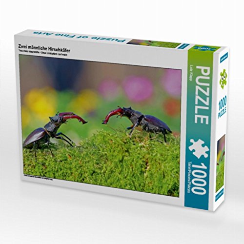 CALVENDO Puzzle Zwei männliche Hirschkäfer 1000 Teile Lege-Größe 64 x 48 cm Foto-Puzzle Bild von Lutz Klapp CALVENDO Puzzle Zwei männliche Hirschkäfer 1000 Teile Lege-Größe 64 x 48 cm Foto-Puzzle Bild von Lutz Klapp von CALVENDO