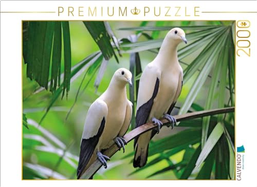 CALVENDO Puzzle Zweifarben Fruchttaube, EIN Paar auf einem Baum | 2000 Teile Lege-Größe 90 x 67 cm Foto-Puzzle für glückliche Stunden von CALVENDO
