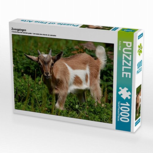 CALVENDO Puzzle Zwergziegen 1000 Teile Puzzle quer | 1000 Teile Lege-Größe 64 x 48 cm Foto-Puzzle für glückliche Stunden CALVENDO Puzzle Zwergziegen 1000 Teile Puzzle quer | 1000 Teile Lege-Größe 64 x 48 cm Foto-Puzzle für glückliche Stunden von CALVENDO