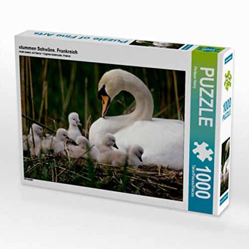 CALVENDO Puzzle stummen Schwäne. Frankreich 1000 Teile Lege-Größe 64 x 48 cm Foto-Puzzle Bild von Philippe Henry von CALVENDO
