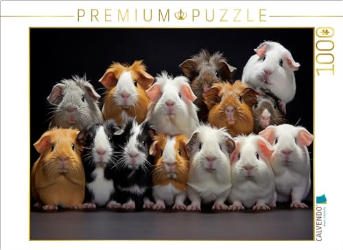 CALVENDO Puzzle viele Meerschweinchen übereinander | 1000 Teile Lege-Größe 64 x 48 cm Foto-Puzzle für glückliche Stunden CALVENDO Puzzle viele Meerschweinchen übereinander | 1000 Teile Lege-Größe 64 x 48 cm Foto-Puzzle für glückliche Stunden von CALVENDO