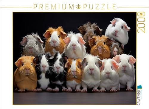 CALVENDO Puzzle viele Meerschweinchen übereinander | 2000 Teile Lege-Größe 90 x 67 cm Foto-Puzzle für glückliche Stunden CALVENDO Puzzle viele Meerschweinchen übereinander | 2000 Teile Lege-Größe 90 x 67 cm Foto-Puzzle für glückliche Stunden von CALVENDO