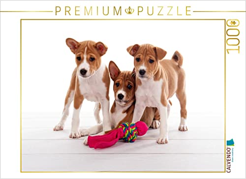 CALVENDO Puzzle wir können Nichts dazu, wir sind einfach süß 1000 Teile Lege-Größe 64 x 48 cm Foto-Puzzle Bild von Angelika Joswig von CALVENDO