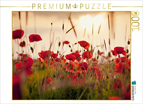 CALVENDO Puzzle Mohnblumen im Abendlicht 1000 Teile Lege-Größe 64 x 48 cm Foto-Puzzle Bild von Lain Jackson von CALVENDO
