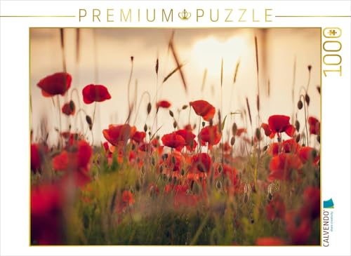 CALVENDO Puzzle Mohnblumen im Abendlicht | Lege-Größe cm Foto-Puzzle für glückliche Stunden von CALVENDO