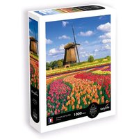 CALYPTO 3907051 Puzzle 1000 Teile Tulpen von CALYPTO