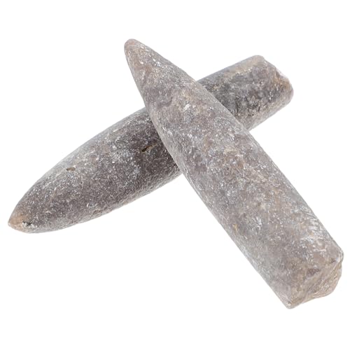 CANIGHT Belemnit-probenschmuck Natürliche Belemnite Belemnite Für Bildung Und Dekoration CANIGHT Belemnit-probenschmuck Natürliche Belemnite Belemnite Für Bildung Und Dekoration von CANIGHT