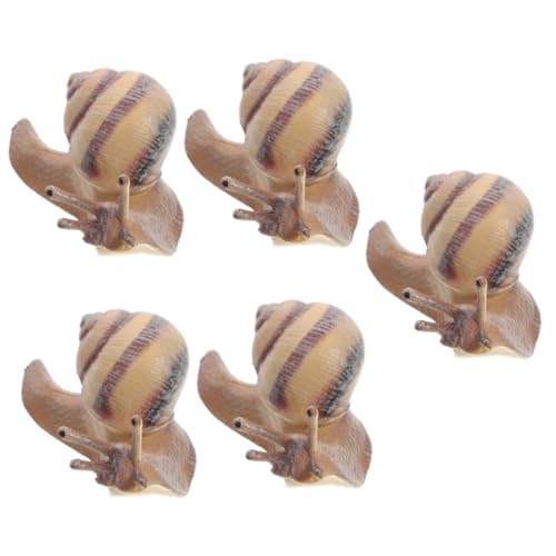 CANIGHT 5 Stück Simulierte Schneckenornamente, Simulation Von Tierfiguren, Winzige Lebensechte Schnecke, Desktop Schneckendekoration, Realistische Schneckenmodelle, Terrarium von CANIGHT