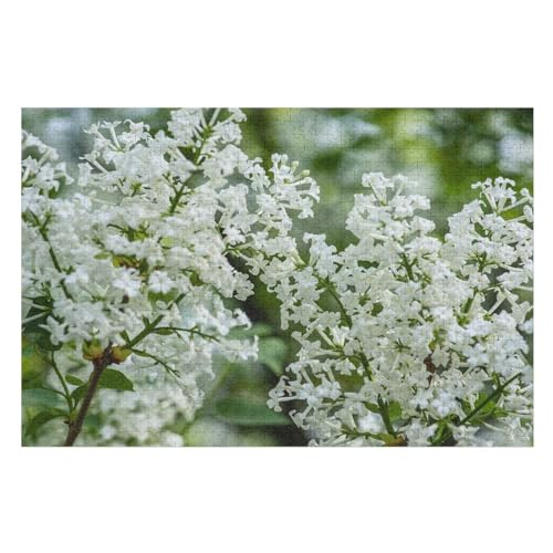 Klassische Puzzle für Erwachsene Teenager Freizeit Spaß Spiel Spielzeug GeeignetMany White Lilac Flowers, springLernspielzeug FüR Kinder 75x50Holz von CARGUS