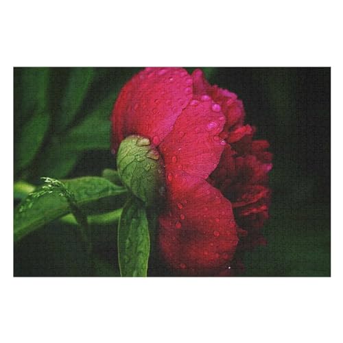 Klassische Puzzle für Erwachsene Teenager Freizeit Spaß Spiel Spielzeug GeeignetRed Peony Flower Water Droplets petalsLernspielzeug FüR Kinder 52x38Papier von CARGUS