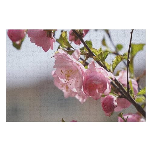 Puzzle für Erwachsene und Kinder ab 14 Jahren, 1000 StüCkFrühlingsblumen, Sakura, rosa Blüten, Blütenblätter,Lernspielzeug FüR Kinder 70x50Papier von CARGUS