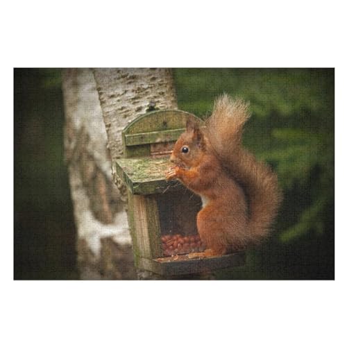 Wohnkultur Geburtstag ，Challenging Games Moderne Lernspiel Stress Relief ，1000 StüCkRed Squirrel, eat nutsLernspielzeug FüR Kinder 38x26Papier von CARGUS