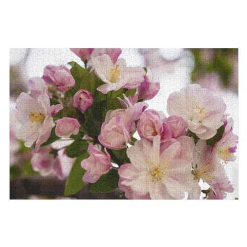 für Familie Freunde Dekorativ，1000 StüCk Beautiful pink Begonia flowersLernspielzeug FüR Kinder 70x50Papier von CARGUS